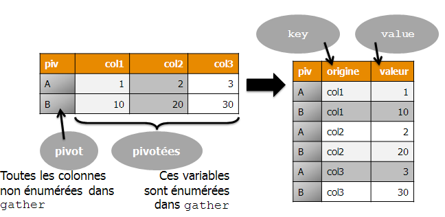 Les Transpositions Dans R Expliquées à Ma Fille Od Datamining 9037